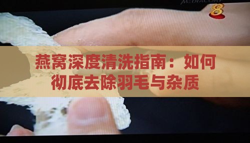 燕窝深度清洗指南：如何彻底去除羽毛与杂质