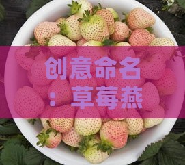 创意命名：草莓燕窝的10大魅力名称，满足你的好奇心与味蕾探索