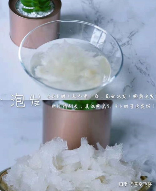 燕窝可以用什么水泡：更佳泡发与食用水质选择指南