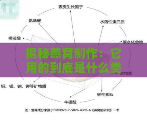 揭秘燕窝制作：它用的到底是什么类型的纸张？全方位解析燕窝标签材质之谜