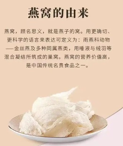 燕窝是什么标签的纸做的好：口感与质量的双重考量