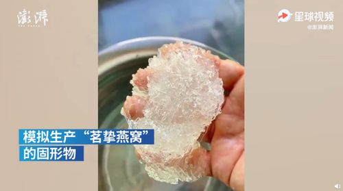 全面解析燕窝泡发品质标准：从固形物到唾液酸，深度解读燕窝优劣鉴别方法