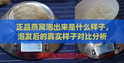 正品燕窝泡出来是什么样子，泡发后的真实样子对比分析