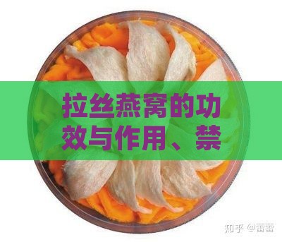 拉丝燕窝的功效与作用、禁忌及做法全解析