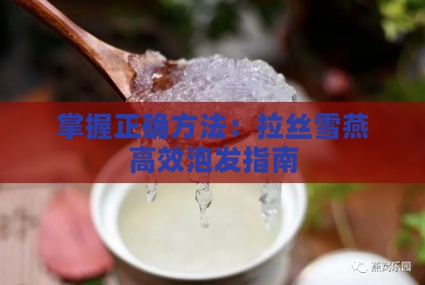 掌握正确方法：拉丝雪燕高效泡发指南