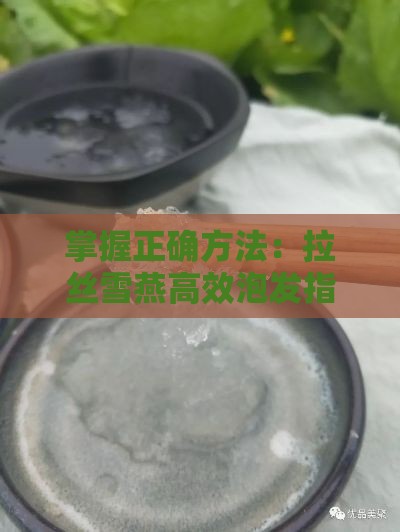 掌握正确方法：拉丝雪燕高效泡发指南