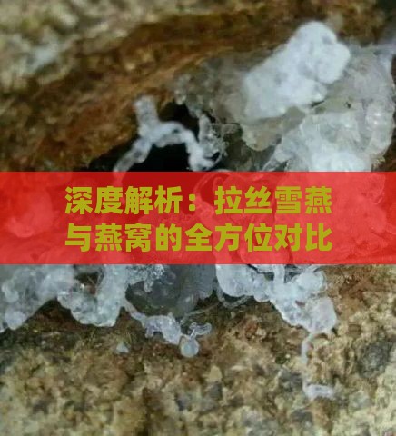 深度解析：拉丝雪燕与燕窝的全方位对比及食用指南