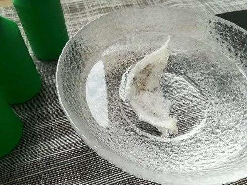 深度解析：拉丝雪燕与燕窝的全方位对比及食用指南