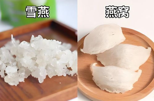 深度解析：拉丝雪燕与燕窝的全方位对比及食用指南