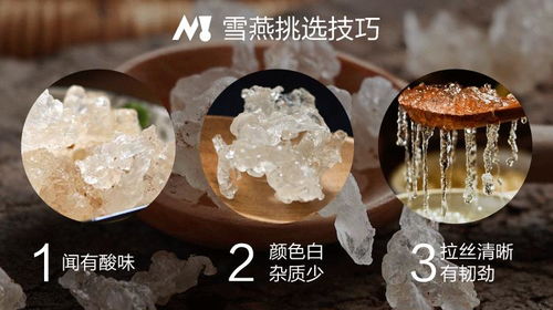 深度解析：拉丝雪燕与燕窝的全方位对比及食用指南