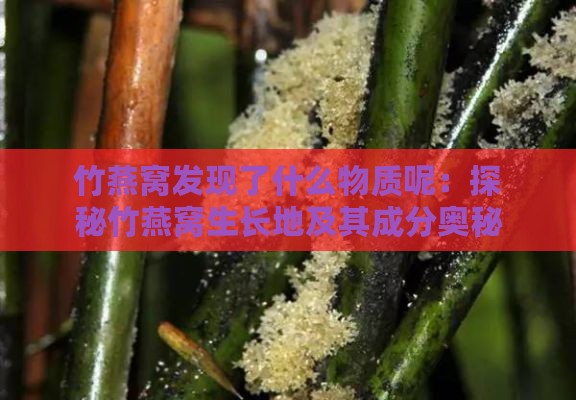 竹燕窝发现了什么物质呢：探秘竹燕窝生长地及其成分奥秘