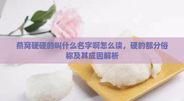 燕窝硬硬的叫什么名字啊怎么读，硬的部分俗称及其成因解析