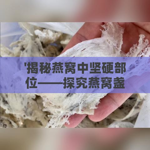 '揭秘燕窝中坚硬部位——探究燕窝盏基的奥秘'