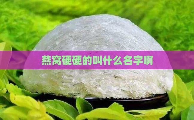 燕窝硬硬的叫什么名字啊