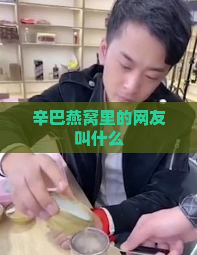 辛巴燕窝里的网友叫什么