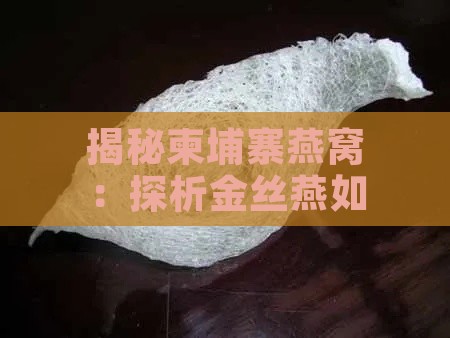 揭秘柬埔寨燕窝：探析金丝燕如何制作珍贵燕窝及其特点