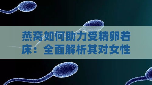 燕窝如何助力受精卵着床：全面解析其对女性生殖健康的益处