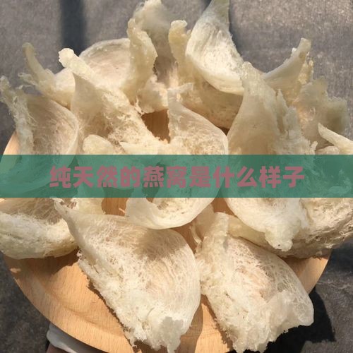 纯天然的燕窝是什么样子