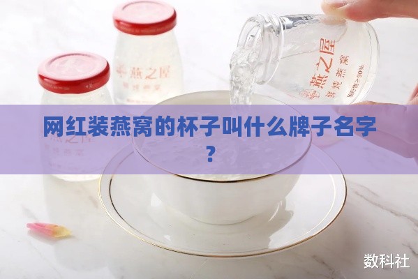 网红装燕窝的杯子叫什么牌子名字？