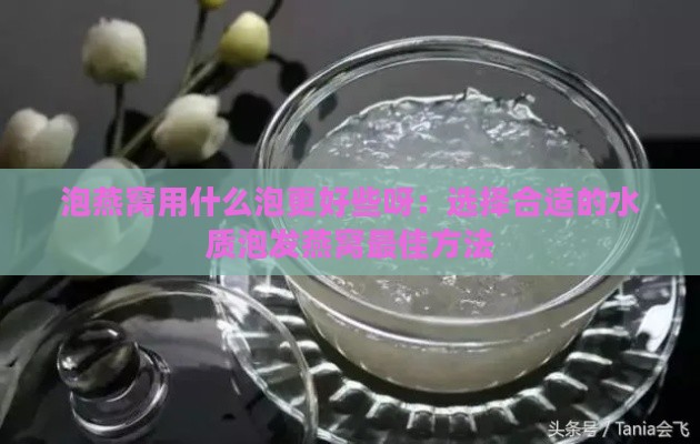 泡燕窝用什么泡更好些呀：选择合适的水质泡发燕窝更佳方法