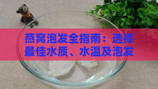 燕窝泡发全指南：选择更佳水质、水温及泡发时间解析