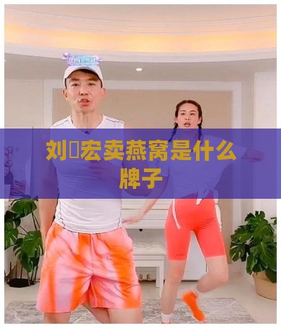 刘畊宏卖燕窝是什么牌子