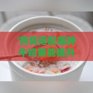 '燕窝搭配哪种牛奶更能提升口感与营养'