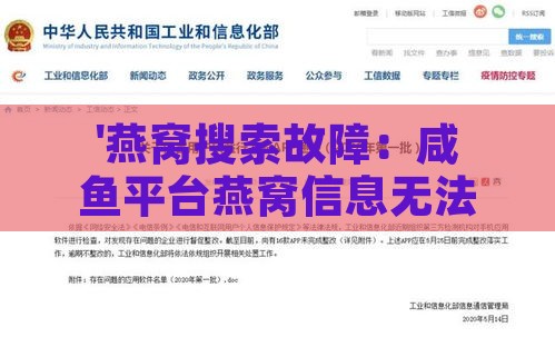 '燕窝搜索故障：咸鱼平台燕窝信息无法显示'