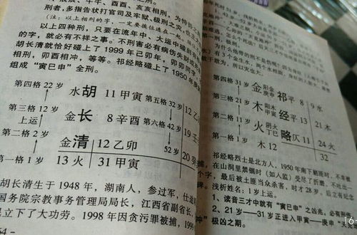 买燕窝的小陈叫什么名字好听：如何取个更悦耳的名字