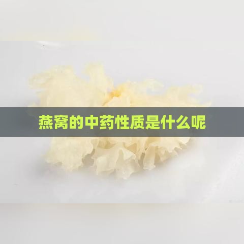 燕窝的中药性质是什么呢