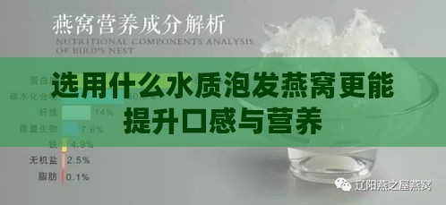 选用什么水质泡发燕窝更能提升口感与营养