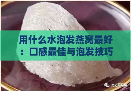 用什么水泡发燕窝更好：口感更佳与泡发技巧全解析