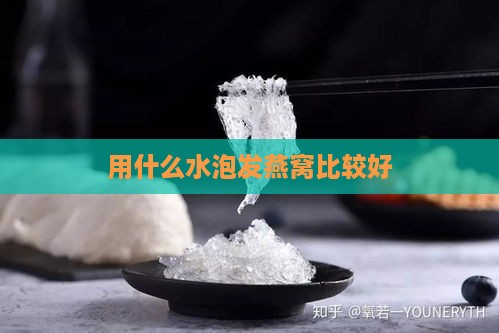 用什么水泡发燕窝比较好