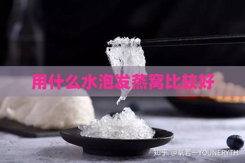 用什么水泡发燕窝比较好