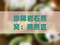 珍稀岩石燕窝：燕燕匠心之作，滋补养生瑰宝