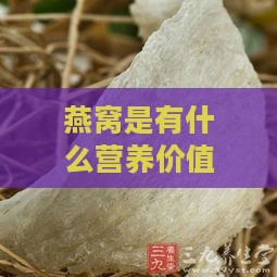 燕窝是有什么营养价值的食品，真的那么高？揭秘燕窝的营养价值真相