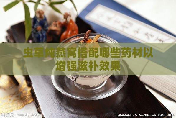 虫草炖燕窝搭配哪些药材以增强滋补效果