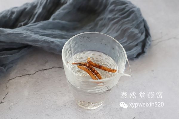 虫草燕窝炖煮攻略：从选购到炖煮技巧一站式详解