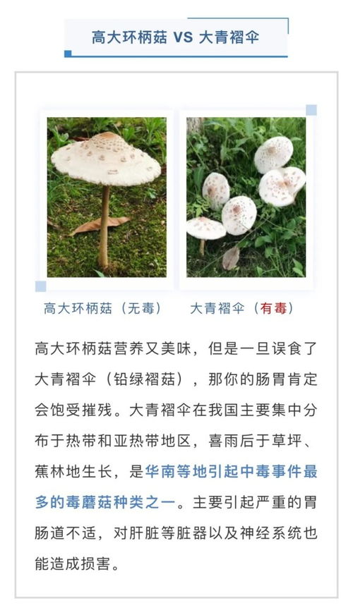 燕窝过期后食用安全性评估：如何判断过期燕窝是否可安全食用