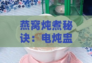 燕窝炖煮秘诀：电炖盅搭配哪些食材更佳