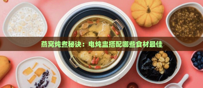 燕窝炖煮秘诀：电炖盅搭配哪些食材更佳