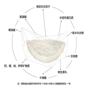 揭秘燕窝中的丰富营养成分及其健康益处