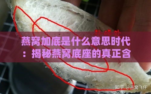 燕窝加底是什么意思时代：揭秘燕窝底座的真正含义