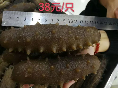 卖海参燕窝要什么手续费