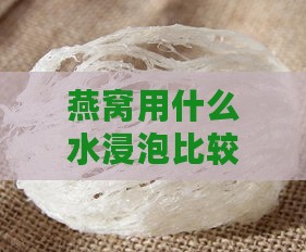 燕窝用什么水浸泡比较好：更佳泡发水质选择指南