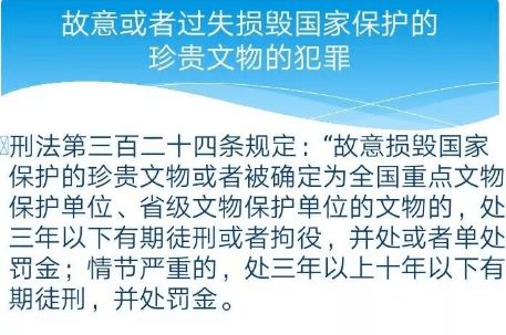 '揭秘燕窝查处：法律法规与具体依据详解'