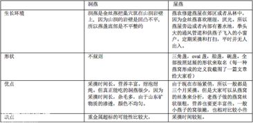 燕窝的产品类别是什么：如何正确理解其分类含义与市场定位