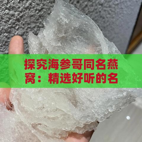 探究海参哥同名燕窝：精选好听的名字与全面解析