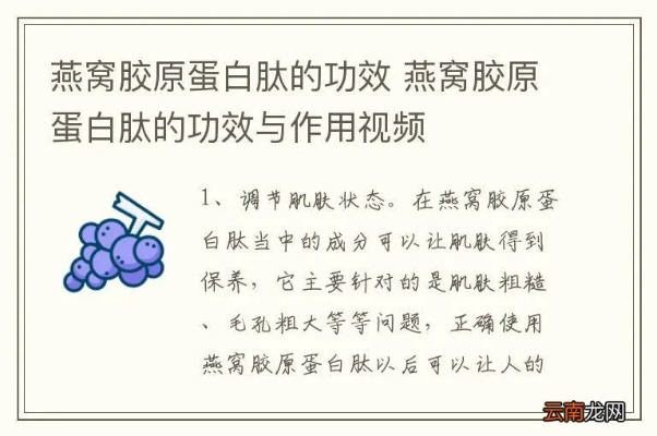 燕窝肽精华：深度解析其保健功效、注意事项及正确食用技巧