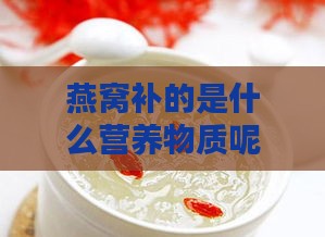 燕窝补的是什么营养物质呢：燕窝主要补充哪些营养素？